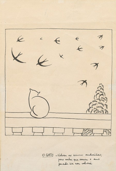 Gato