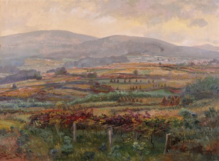 XAVIER POUSA