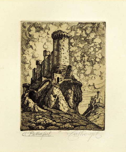 CASTILLO PEÑAFIEL