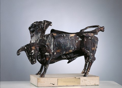 TORO