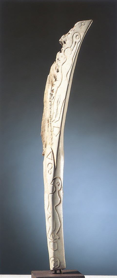 Pluma