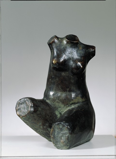 Torso femenino